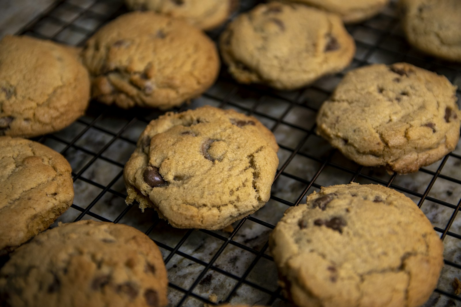 Chocolate chip cookies cooling on a black wire rack, baked with butter in the butter vs oil test