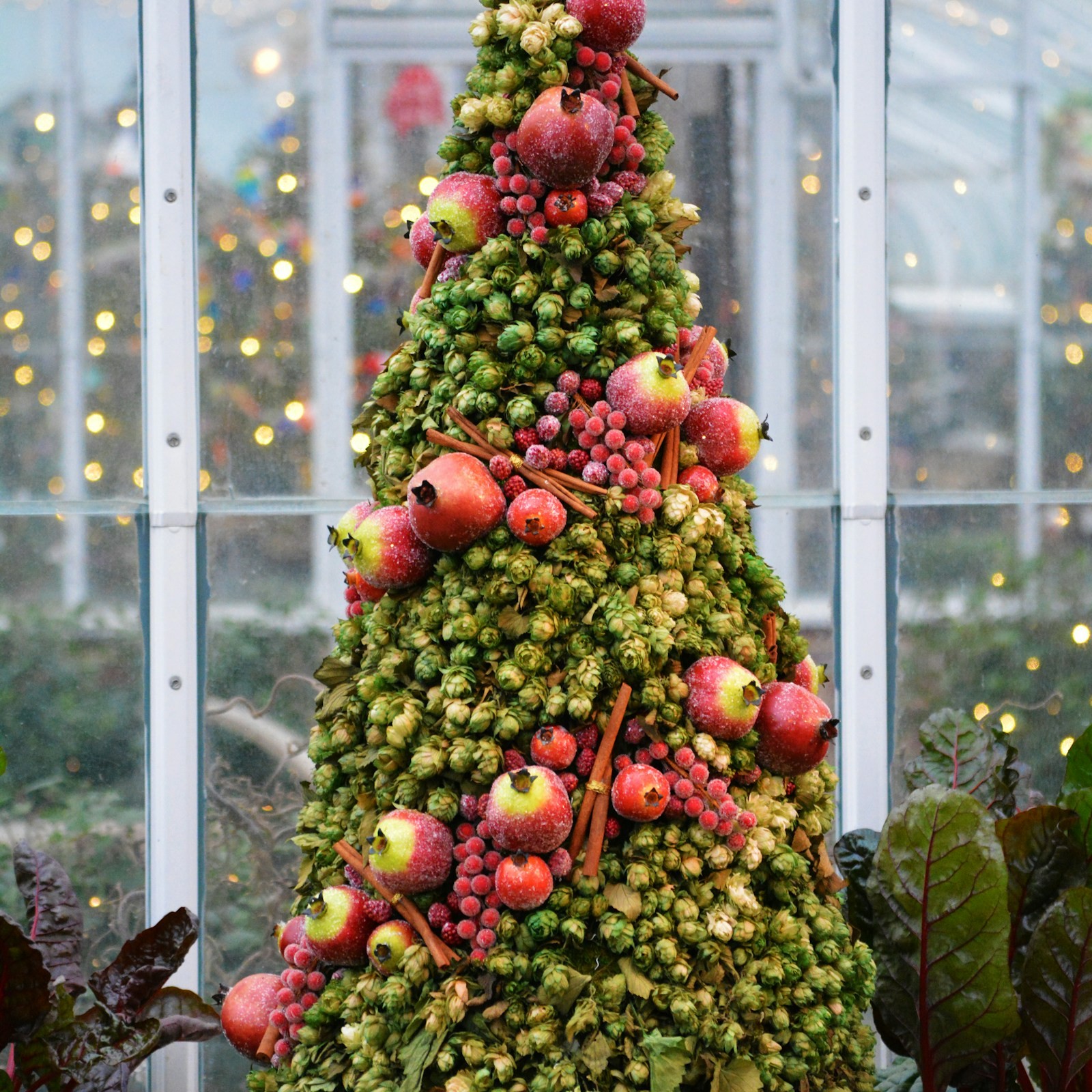 Tall tree of Brussels sprouts and red apples