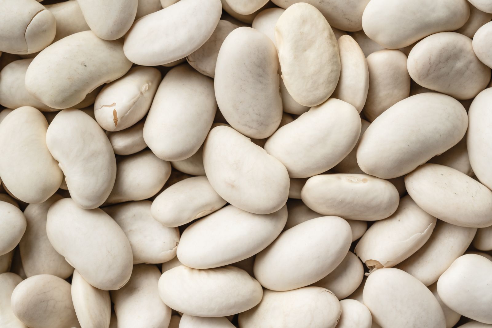 Pile of creamy white cannellini beans