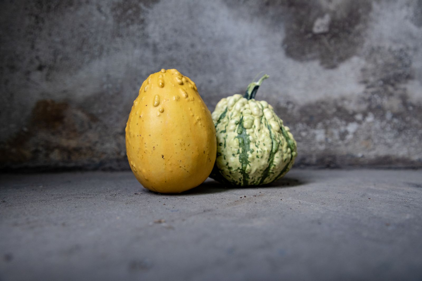 Yellow spaghetti squash and a sweet dumpling squash on a gray table