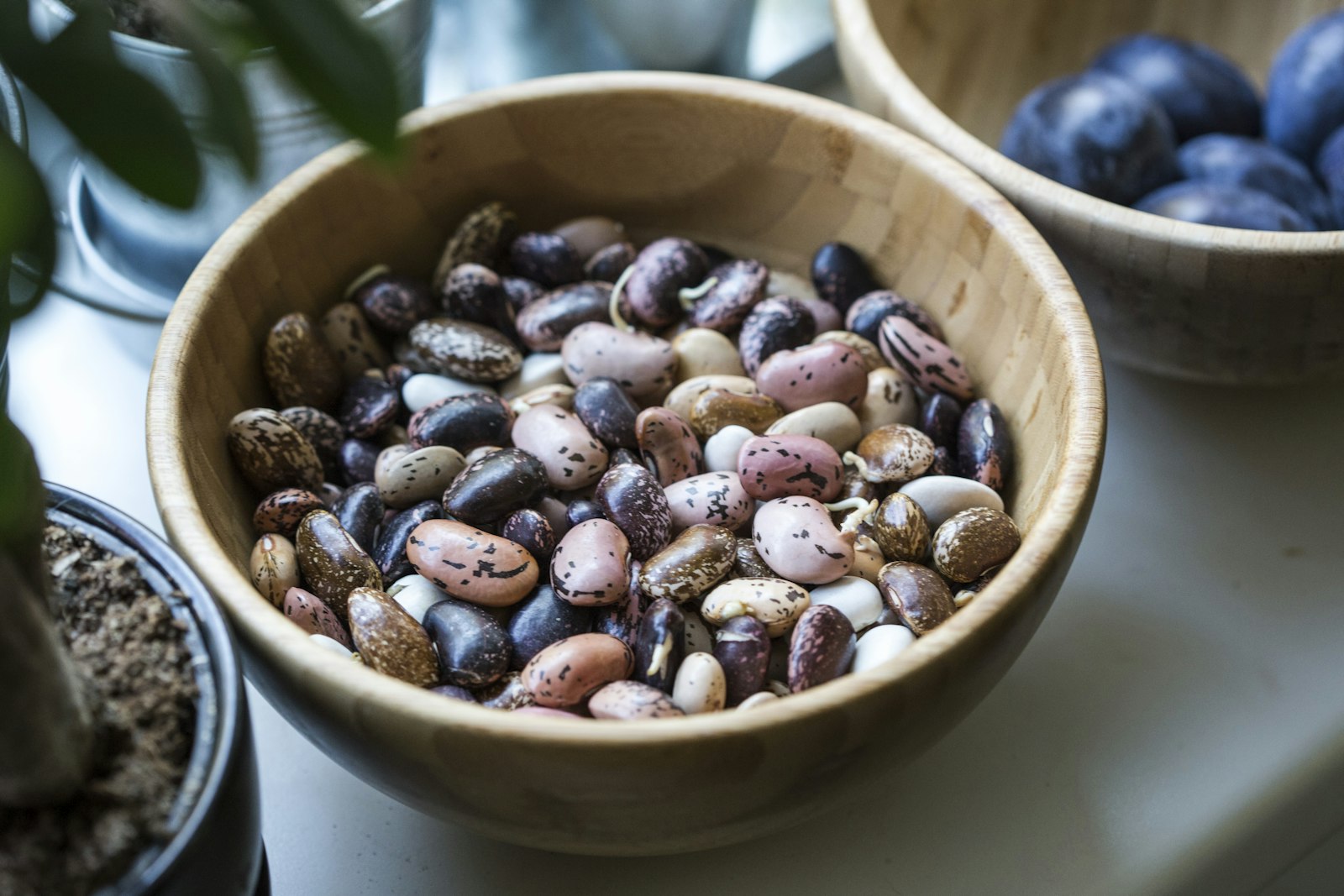 A bowl of dry legumes ready to soak