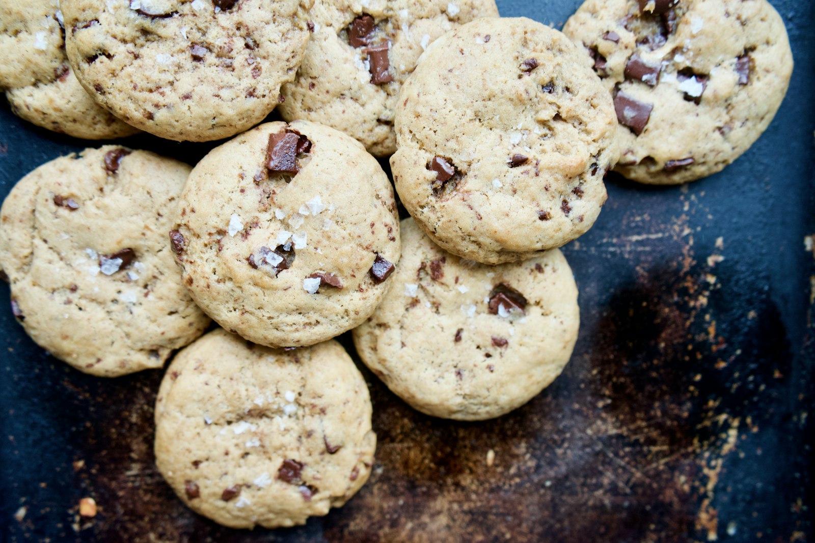 A plate of golden cookies