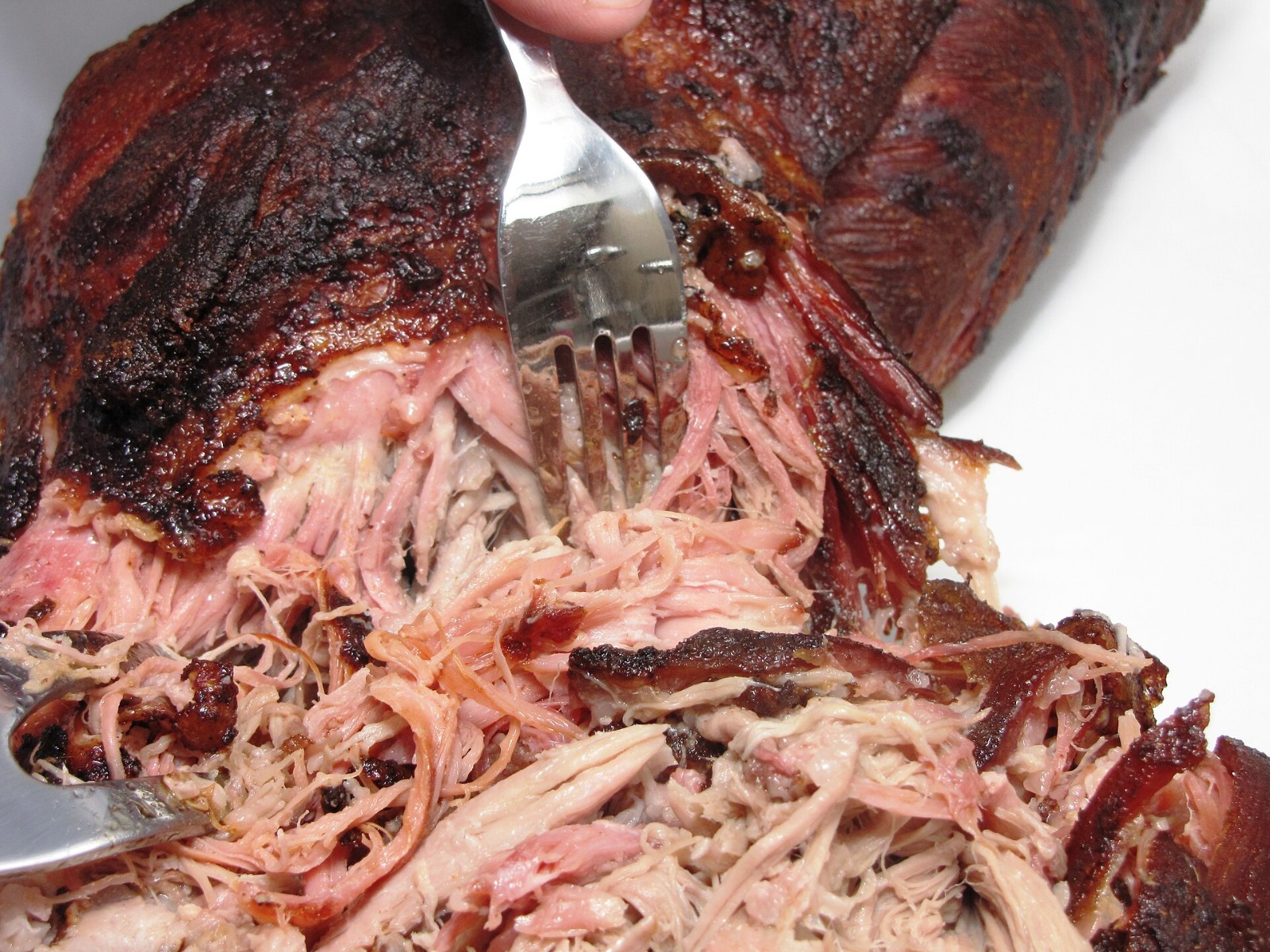 Smoked pork shoulder being pulled apart with a fork for Lexington style dip