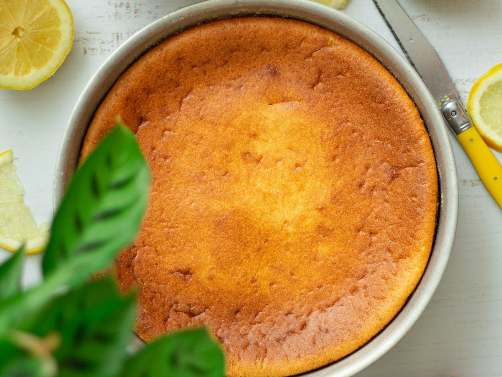 Golden baked pudding cake in a round pan with fresh lemons on the side