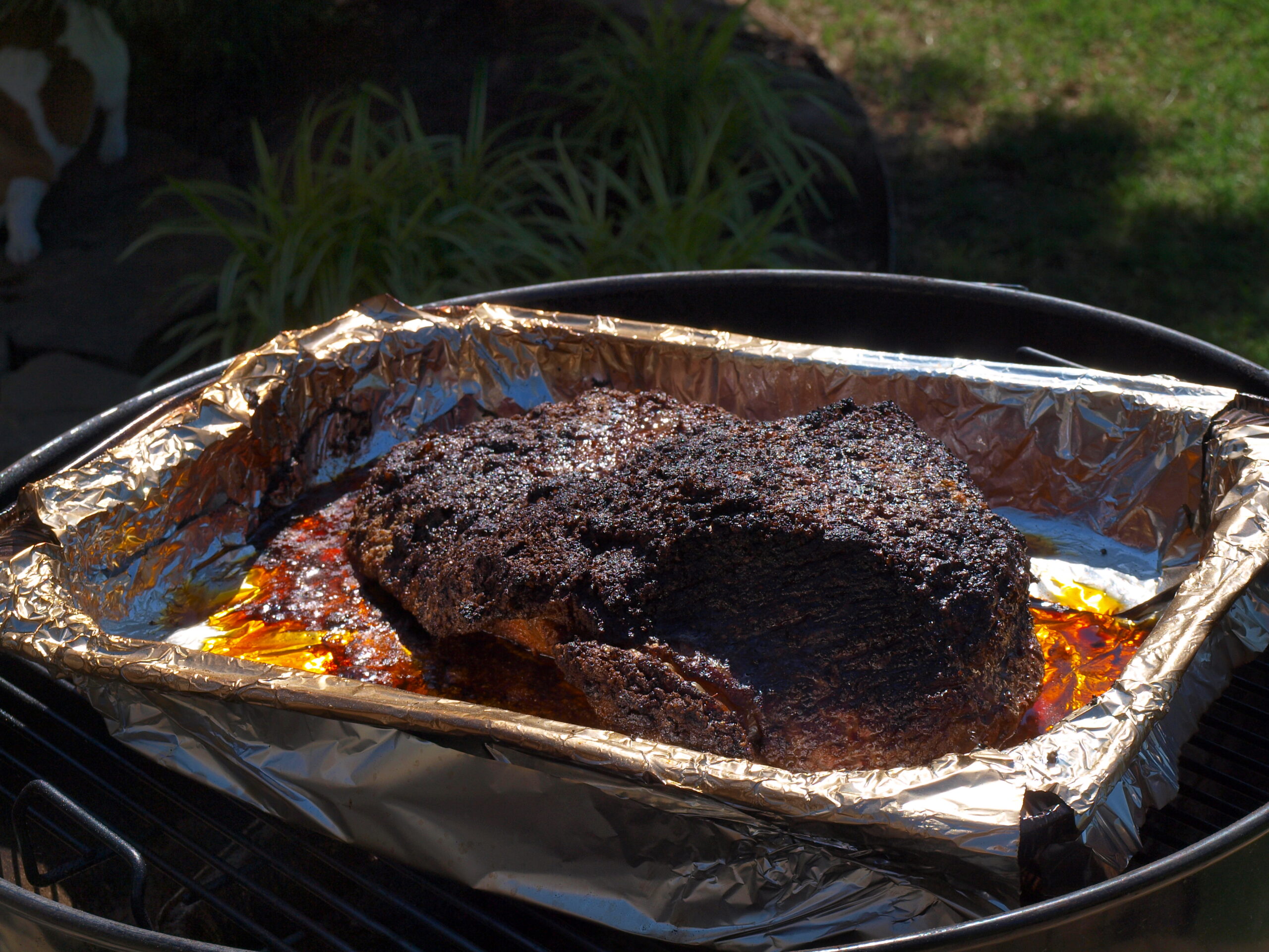 Whole cooked brisket resting in a foil pan
