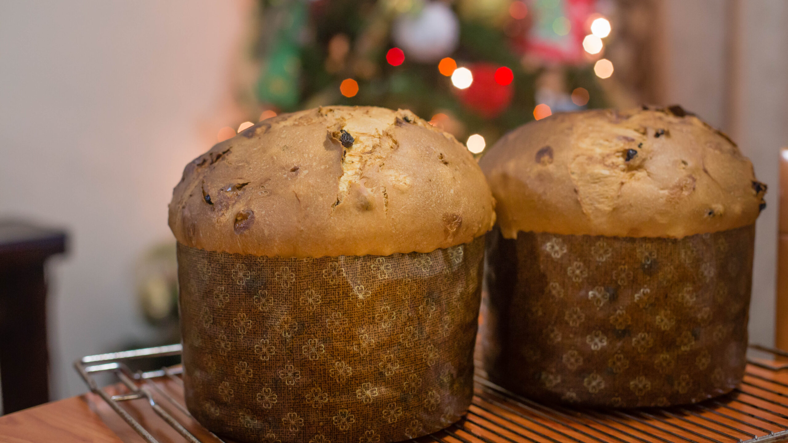 Two homemade panettone with golden domed tops