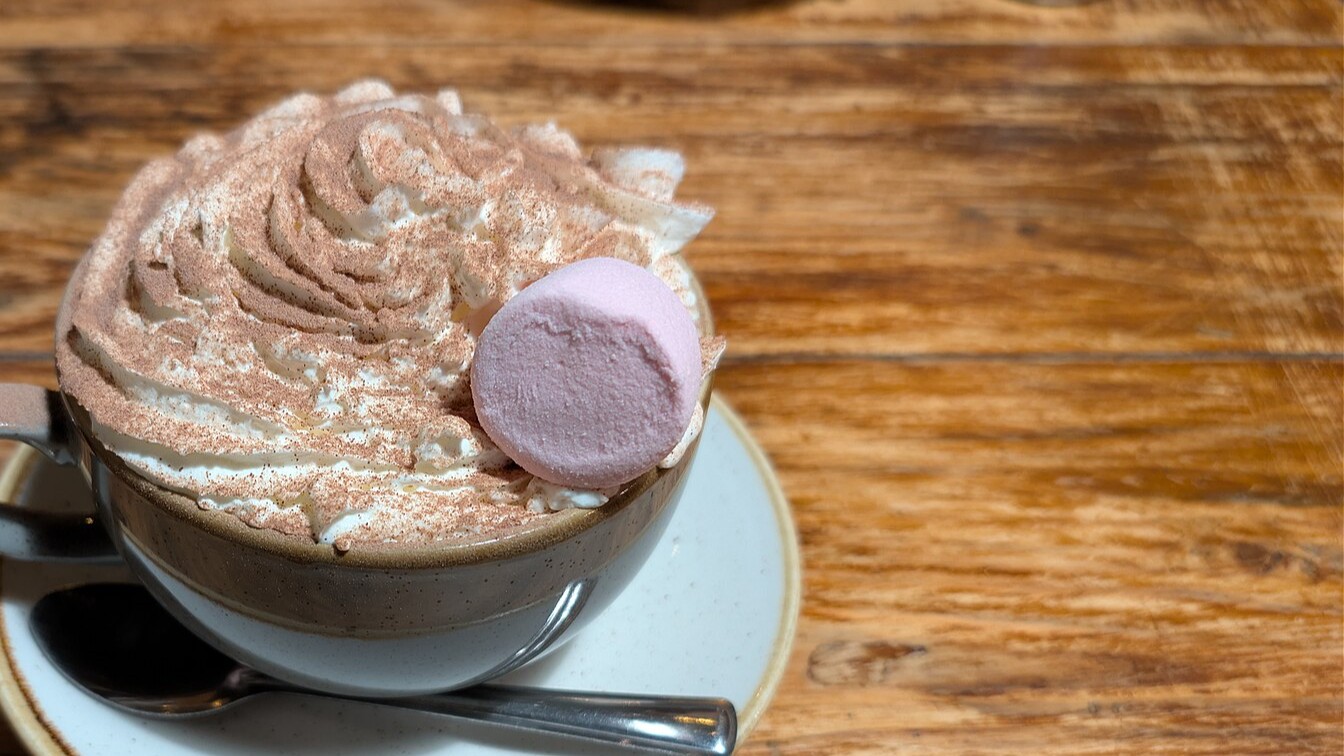 Cup of hot chocolate topped with whipped cream and a marshmallow
