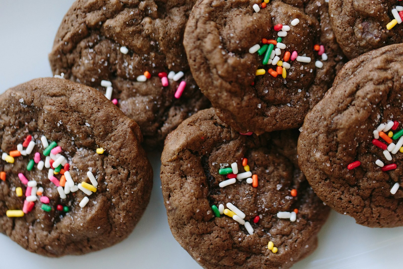 Double chocolate treats topped with rainbow sprinkles